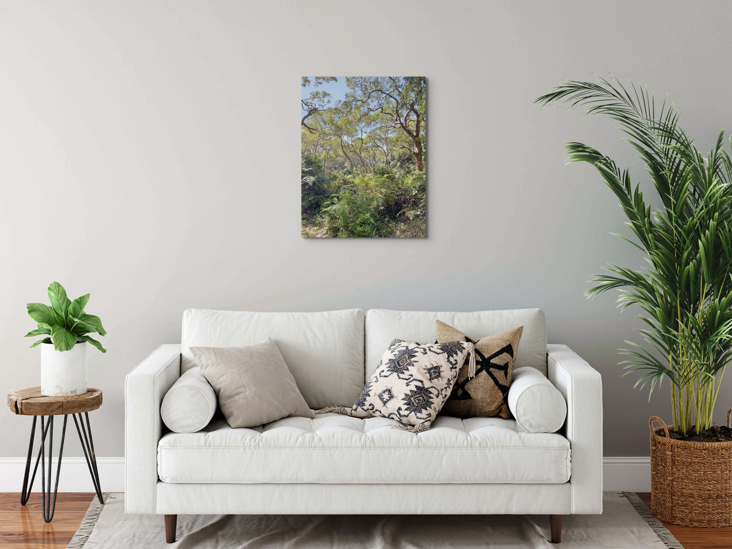 Rainforest Canvas Wall Art with white wall, white lounge and several cushions, wooden side table, pot plant and palm tree in rattan basket, wooden floorboards, rug