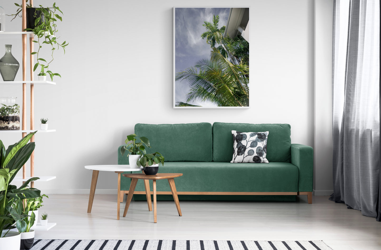 Palm Tree Dreaming Canvas Wall Art in lounge room with white wall, green lounge, two coffee tables, several pot plants and polished floorboards