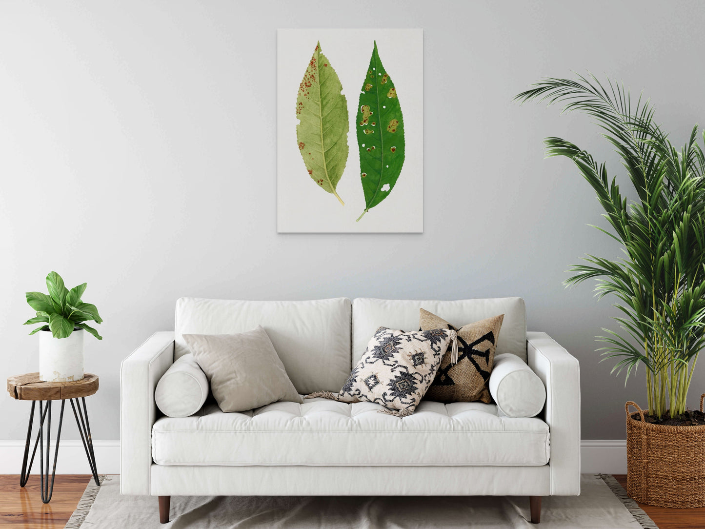a living room with a white couch and some plants