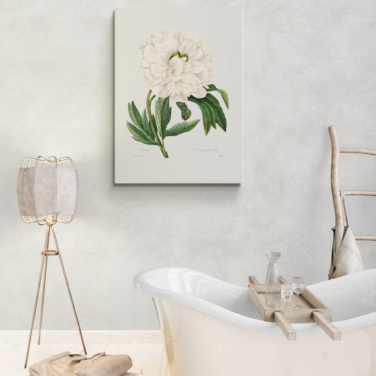 a white flower on a white wall in a bathroom