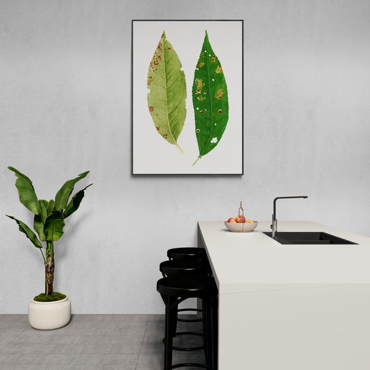 a kitchen with a sink and a green leaf print on the wall